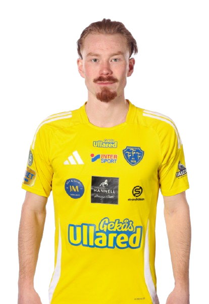 LINUS BORGSTRÖM